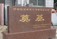 ����������Ƶ�