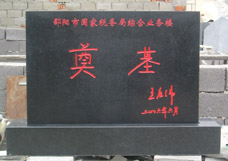 ������ꖇ�����